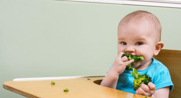 incentivar bebê comer sozinho - blw