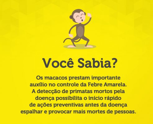 infografico - febre amarela - macacos