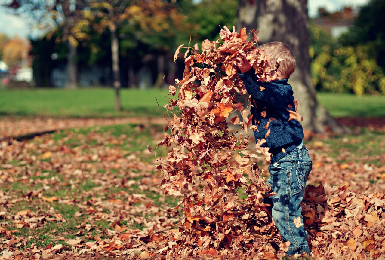 crises de sinusite crônica - menino brincando com folhas de outono
