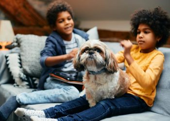 Animal de estimação: o que as crianças precisam saber antes de ter um pet